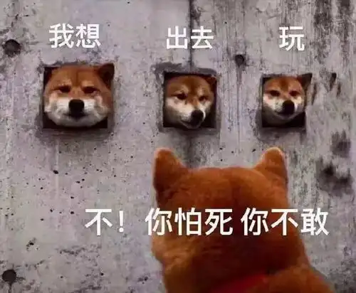  你满意了吗