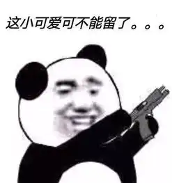  表情包丨改情侣名吗我叫猫南北
