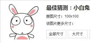  知道这个表情兔子叫什么吗