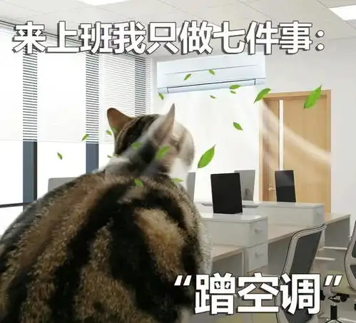  猫咪打工表情包来上班我只做七件事