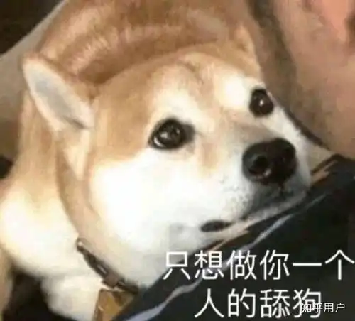 隐秘的角落表情包视频舔