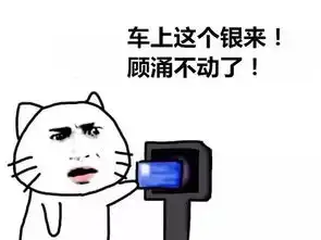  青岛人专属的微信表情包,爆笑建议收藏