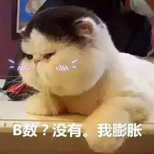  冬季装逼指南如何登顶雪场鄙视链
