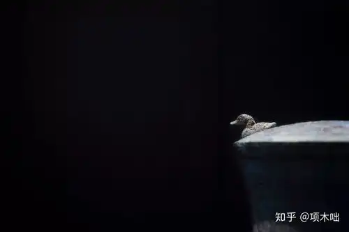  这可能是包邮区近期最值得看的展览