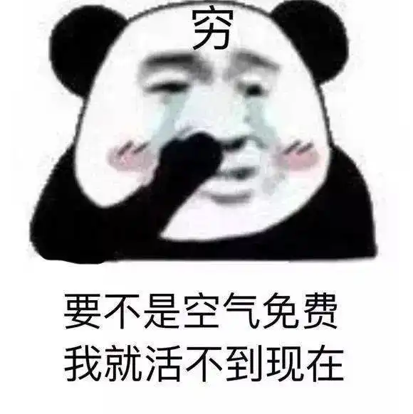  今日份表情包