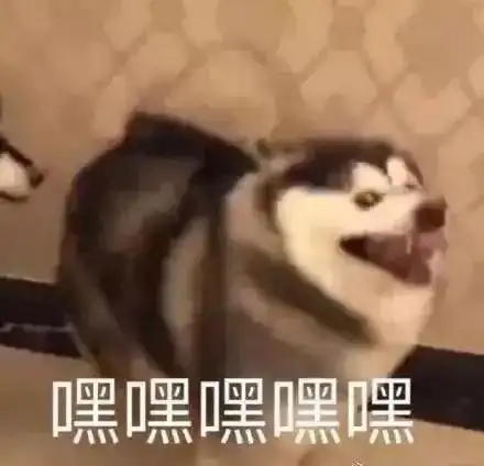 啊啊啊动物表情包沙雕