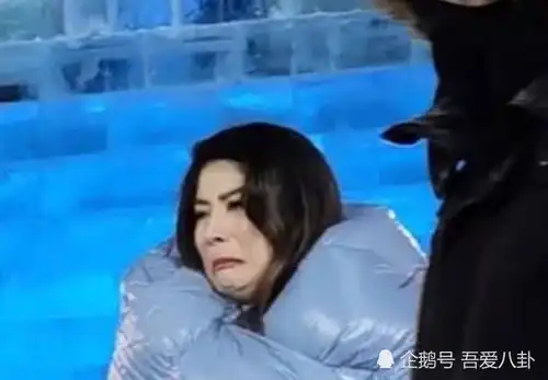  陈慧琳哈尔滨演出,身穿羽绒长裙难掩曼妙身姿,台上唱歌表情被冻成表情包
