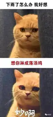  你身上有她的香水味,一闻就没我的贵