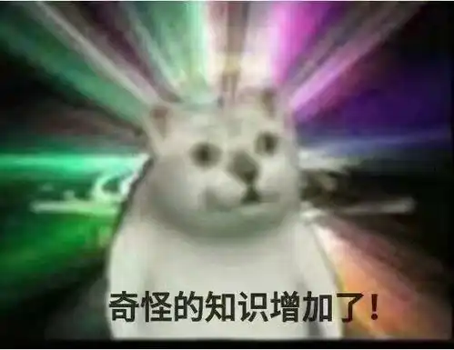  哔哩哔哩专栏