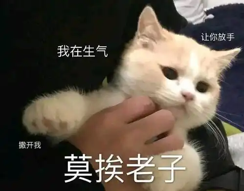  主子又双叒叕生气了还是哄不好的那种