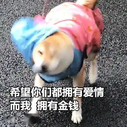  我国单身2.4亿人,医生同胞们贡献最大
