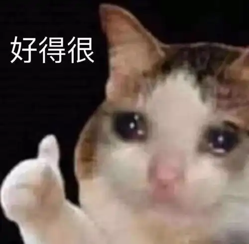 幽默笑话一个小偷准备行窃,他就让妻子化妆成女警给自己放风