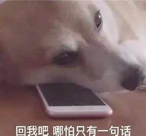 抢购信息表情包狗年