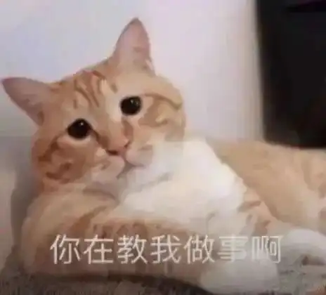  快要离婚了,咋都想起来买保险了呢
