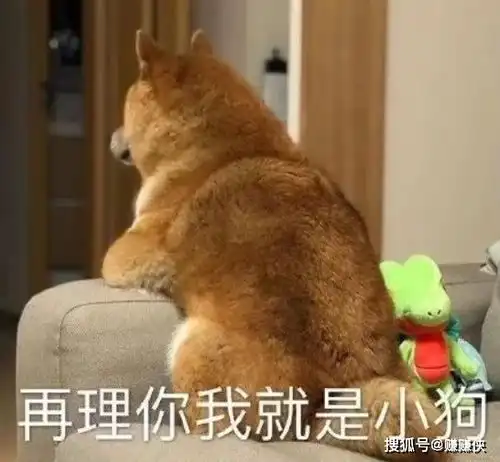  热门表情包图片一张图,让他知道你在生气,关键还很可爱