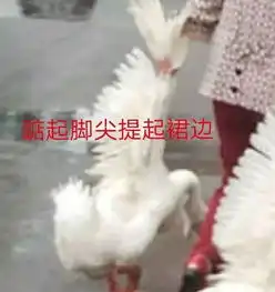  在男友购物车发现出轨细节以为我被绿了,结果...
