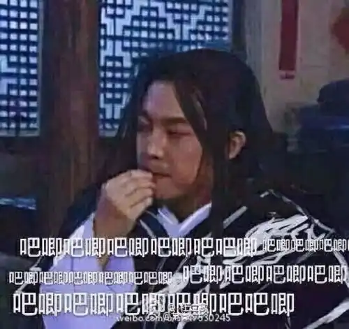 igtheshy表情包东北往事