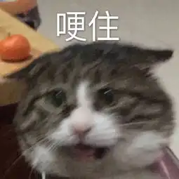  有一个奇葩室友是一种怎样的体验