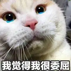  喵星人表情包精选