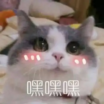  猫咪表情包没有新裙子穿的绝望肥宅