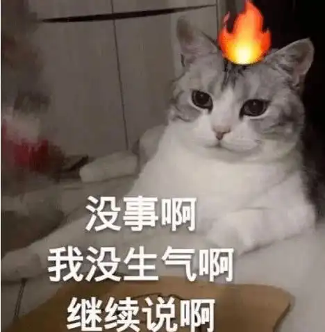 喂110吗我要报警表情包