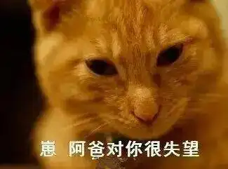 一大波蛇精猫表情包来袭,要斗图的拿走不谢