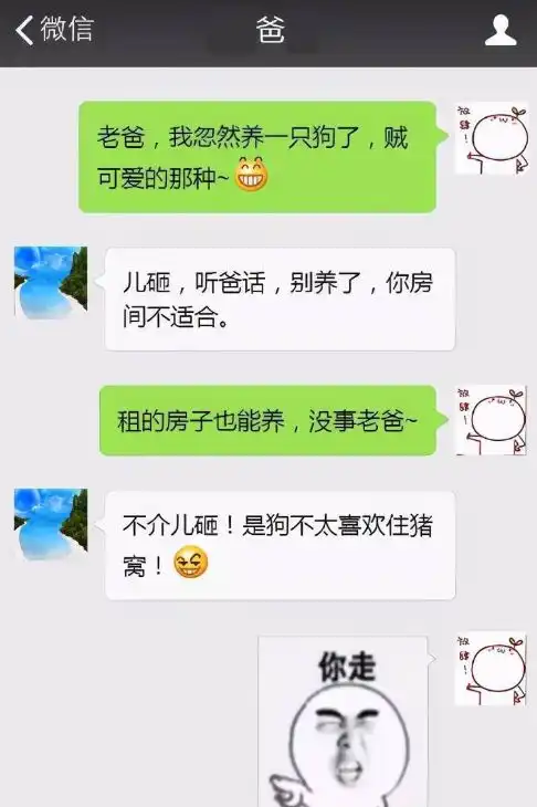  你是不是不服,大学生与父母聊天,却因一个表情遭无情回怼