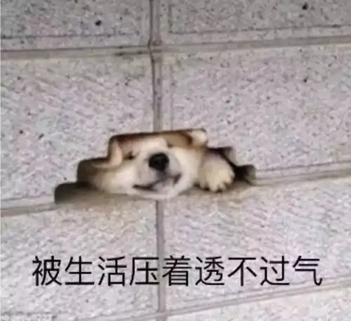  医生和患者直接的对话,医生回答亮了......