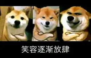  汪星人斗图表情包了解一下