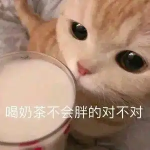  怎么能证明有人宠你