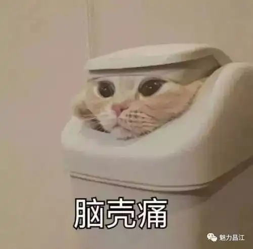  放假看大雪昌江居民,新年收好礼啦