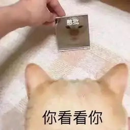  每一个想证明自己没喝醉的朋友,都像智商掉线的小傻瓜...