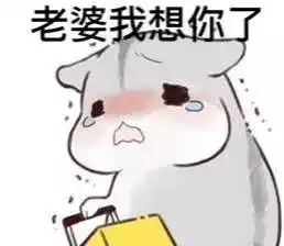  求仓鼠哄老婆表情包,及这张小仓鼠表情原图