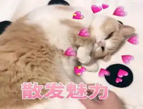  花开正好微风不燥,我们一起去走走吧