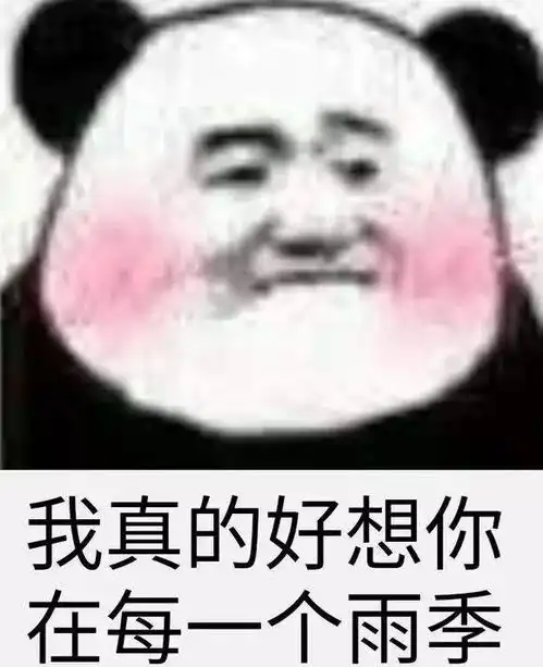  最火抖音表情包纸短情长熊猫头表情包怎么会爱上了她并决定跟她回家