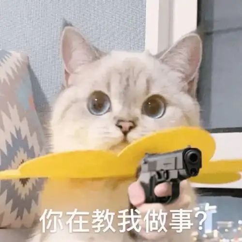  实用斗图表情包