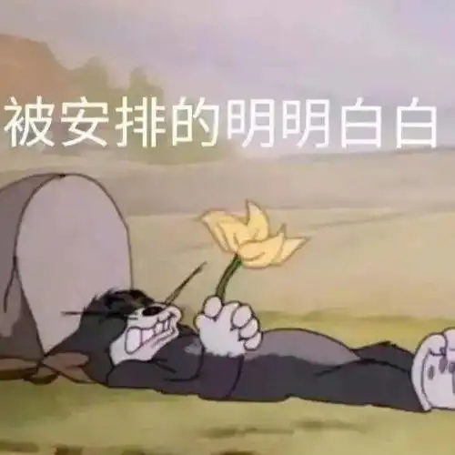  要使点什么坏好呢丨第163期喵表情