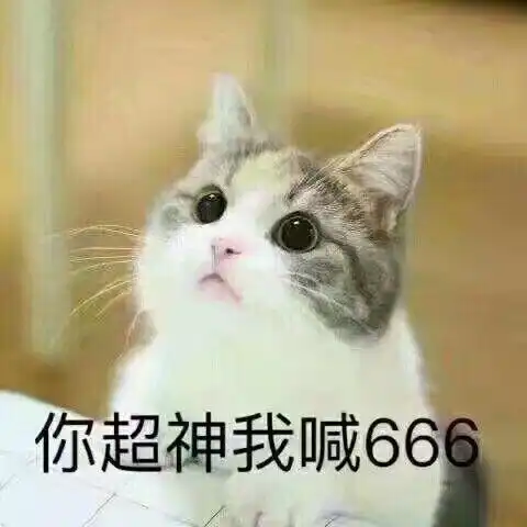 猫猫表情包高清表情