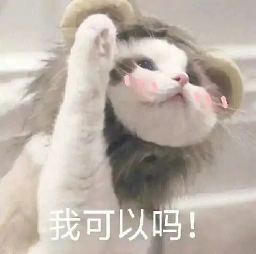  创作