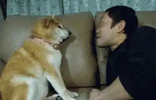  女朋友包里的东西,这是干什么用的网友长见识了