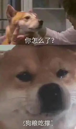  今天,微信又调红包上限了