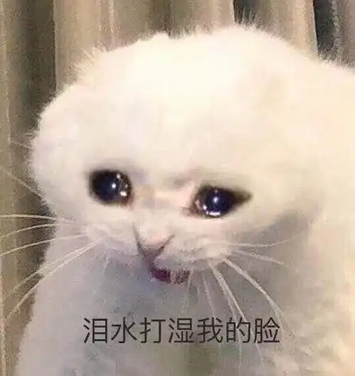  为什么我身边所有的人都以为怒晴湘西是抗日片