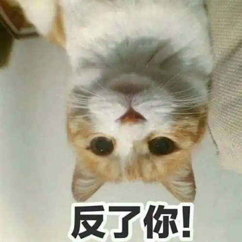  大盘站上3000点无数次却总是走不了太远,这一次能否焊牢在三千以上呢为了安全起见