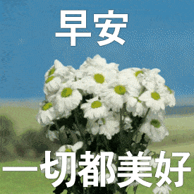  早上好最美动态图片最好看早上好表情图片