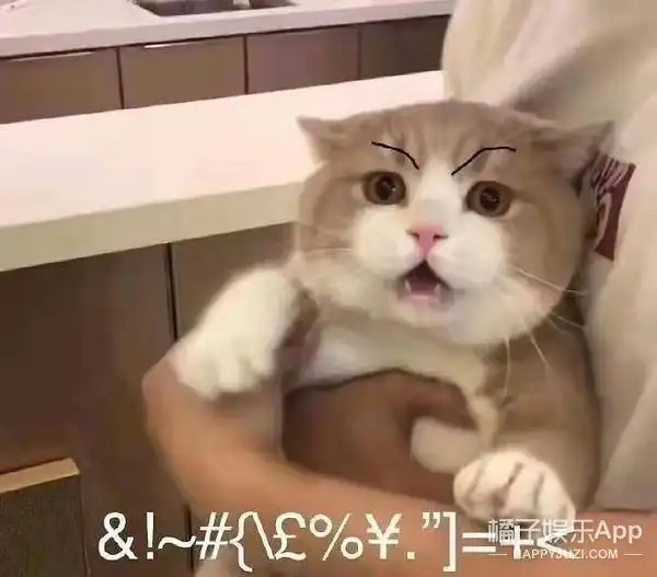  李佳琦转行当搞笑艺人金丝花瓶钱的味道,喜剧人设屹立不倒