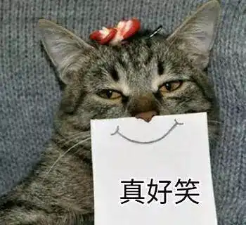  哈皮涛涛建议南北方人谈场恋爱吧,一定会打开新世界的大门