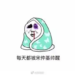  宋仲基表情包大全
