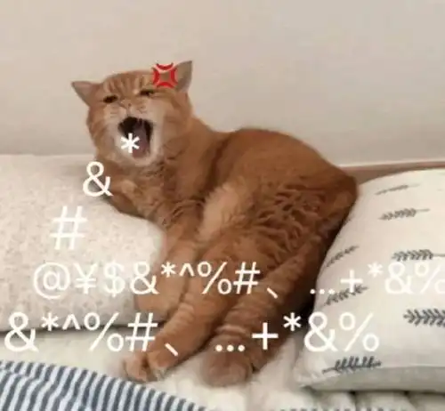 斗图斗不过了表情包狗年