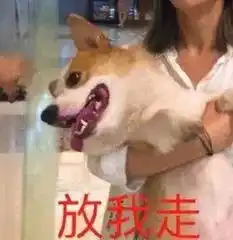  每日沙雕表情包饭马上就煮好了