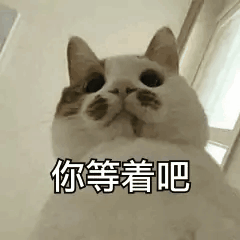 结婚祝福动态表情包5.1